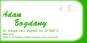 adam bogdany business card